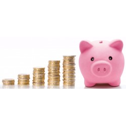 Sticker tirelire cochon argent