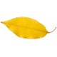 Sticker feuille d'arbre