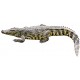 Sticker crocodile
