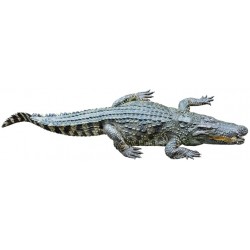 Sticker crocodile