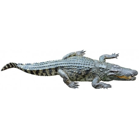 Sticker crocodile