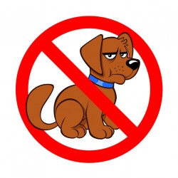 Sticker anti chien