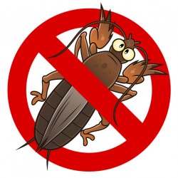 Sticker anti criquet