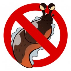 Sticker anti limasse