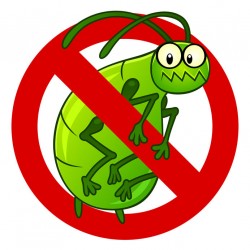 Sticker anti puceron