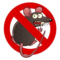 Sticker anti rat