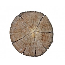 Autocollant bois rondin