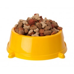 Sticker chien border noir et blanc