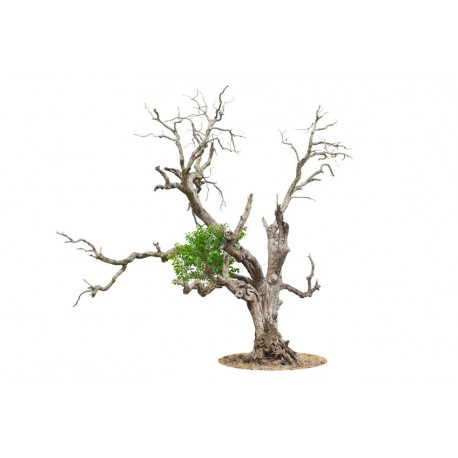 Sticker arbre branches mortes