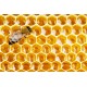 Sticker abeille
