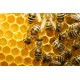 Sticker abeille