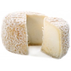 Sticker fromage chèvre rond 