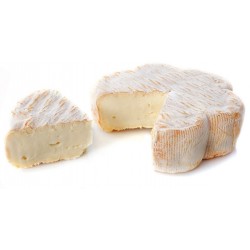 Sticker fromage coulant