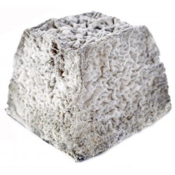 Sticker mural fromage chèvre valancay