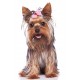 Sticker chiot yorkshire terrier noeud rose