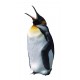Autocollant muraux pingouin