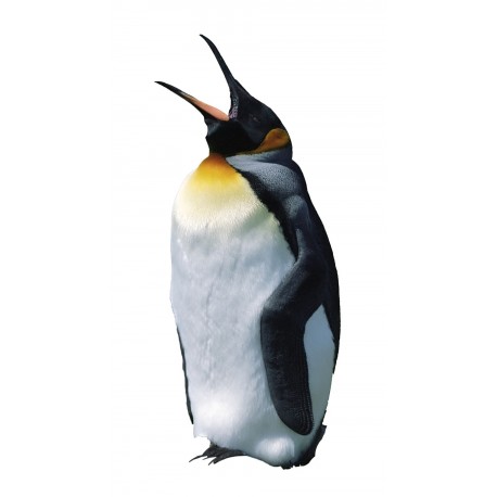 Autocollant muraux pingouin