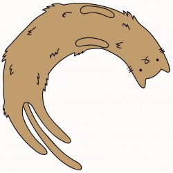 Sticker chat roi dort