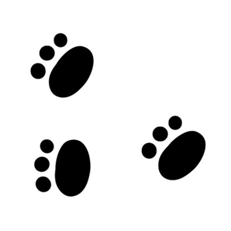 Sticker etoile prehistoire