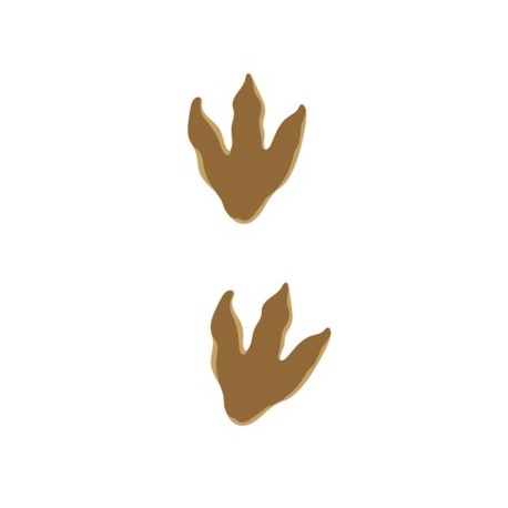 Sticker pas dinosaure