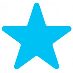 Sticker étoile paquerette