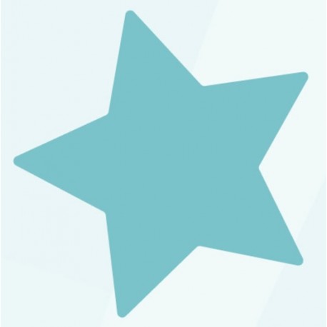 Stickers étoile pleine