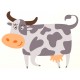 Sticker vache grise