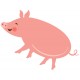 Sticker cochon rose