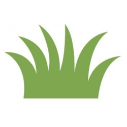 Sticker herbe sauvage