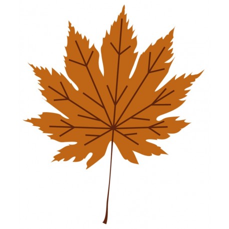 Sticker feuille erable