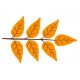 Sticker feuille orange