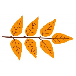 Sticker feuille orange