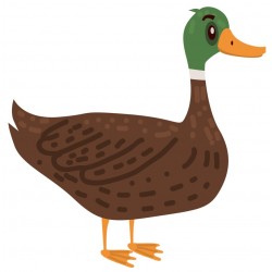 Sticker canard col vert