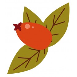 Sticker fruit de la ferme