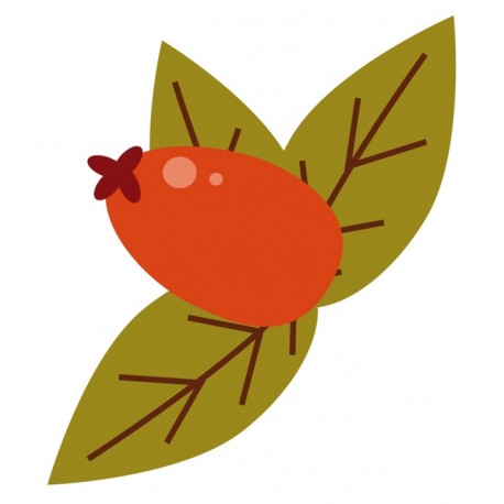 Sticker fruit de la ferme