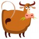 Sticker grosse vache mange
