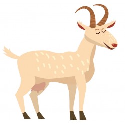 Sticker biquette deco chambre