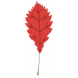 Sticker feuille rouge