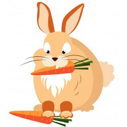 Sticker lapin mange carottes