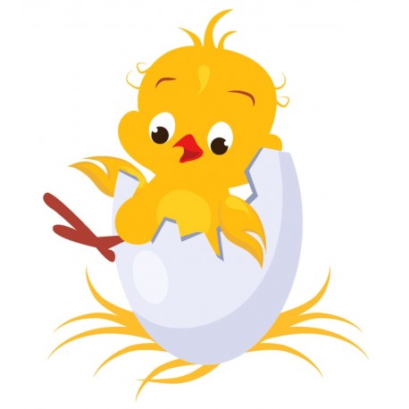 Sticker poussin dans coquille