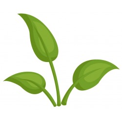 Sticker feuillage jungle