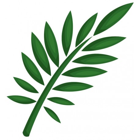 Sticker feuillage jungle deco