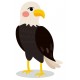 Sticker aigle royal