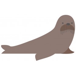 Sticker morse polaire