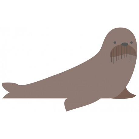 Sticker morse polaire