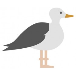 Sticker muraux mouette déco