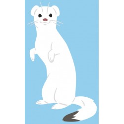 Sticker furet blanc