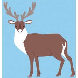 Sticker cerf marche polaire