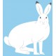 Sticker lapin polaire déco