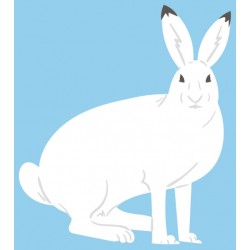 Sticker lapin polaire déco